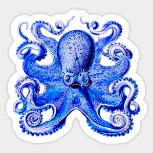 Octopus, celurean blue, vintage illustration Sticker